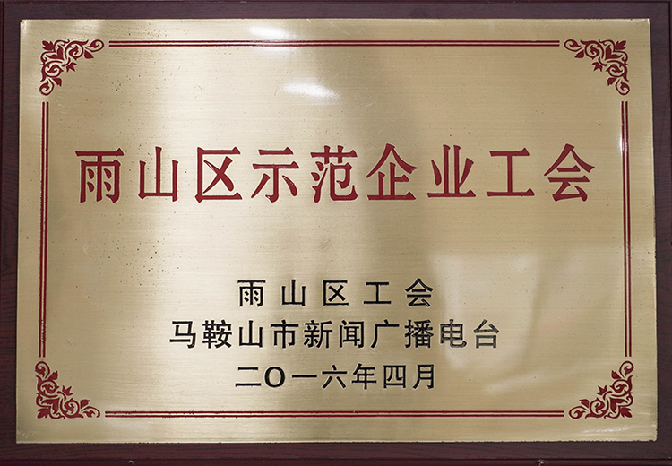 2016年榮獲雨（yǔ）山區示範（fàn）企業工會